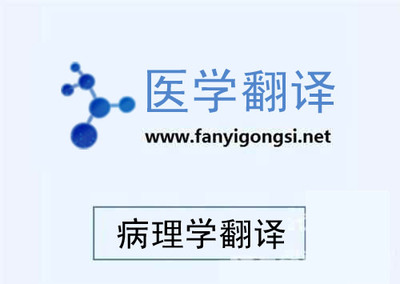 深圳溝通翻譯專(zhuān)業(yè)阿拉伯語(yǔ)翻譯-深圳市溝通翻譯提供深圳溝通翻譯專(zhuān)業(yè)阿拉伯語(yǔ)翻譯的相關(guān)介紹、產(chǎn)品、服務(wù)、圖片、價(jià)格語(yǔ)言翻譯、信息咨詢、電子軟件開(kāi)發(fā)、同傳設(shè)備租賃、少兒英語(yǔ)培訓(xùn)