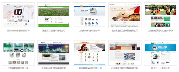 網(wǎng)站二次開(kāi)發(fā)